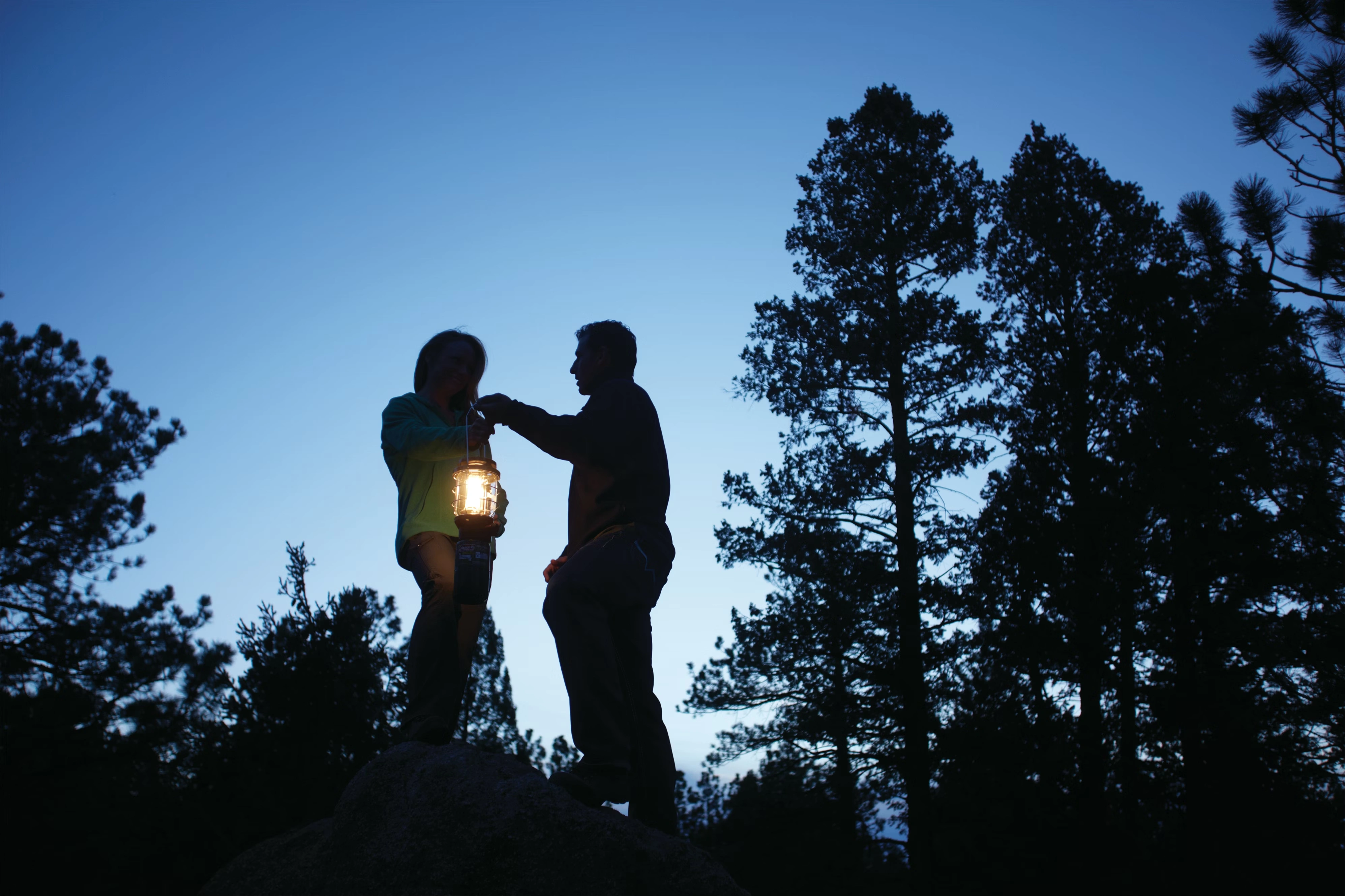 NorthStar® 1500 Lumens 1-Mantle Propane Lantern