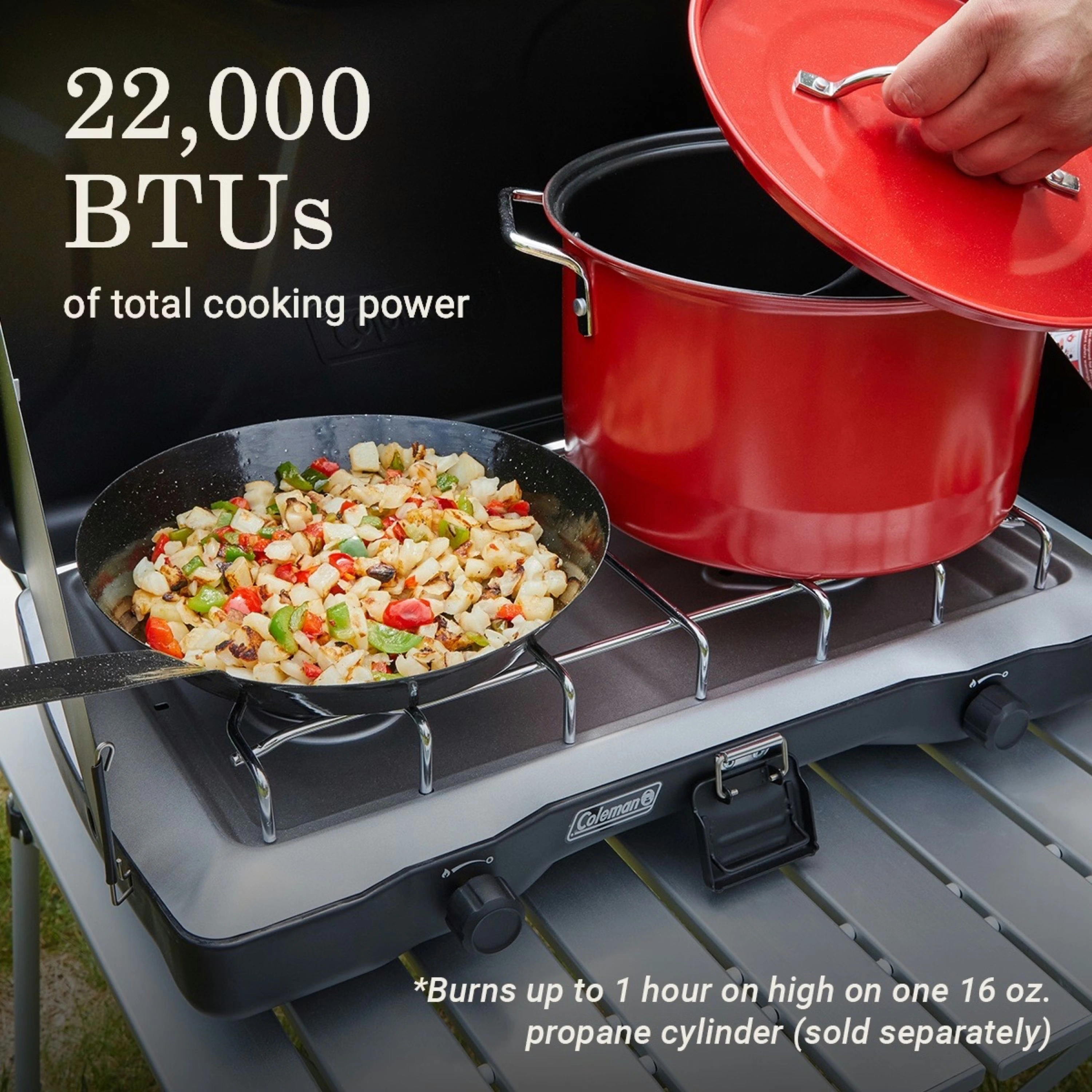 Triton™ 2-Burner Propane Camping Stove