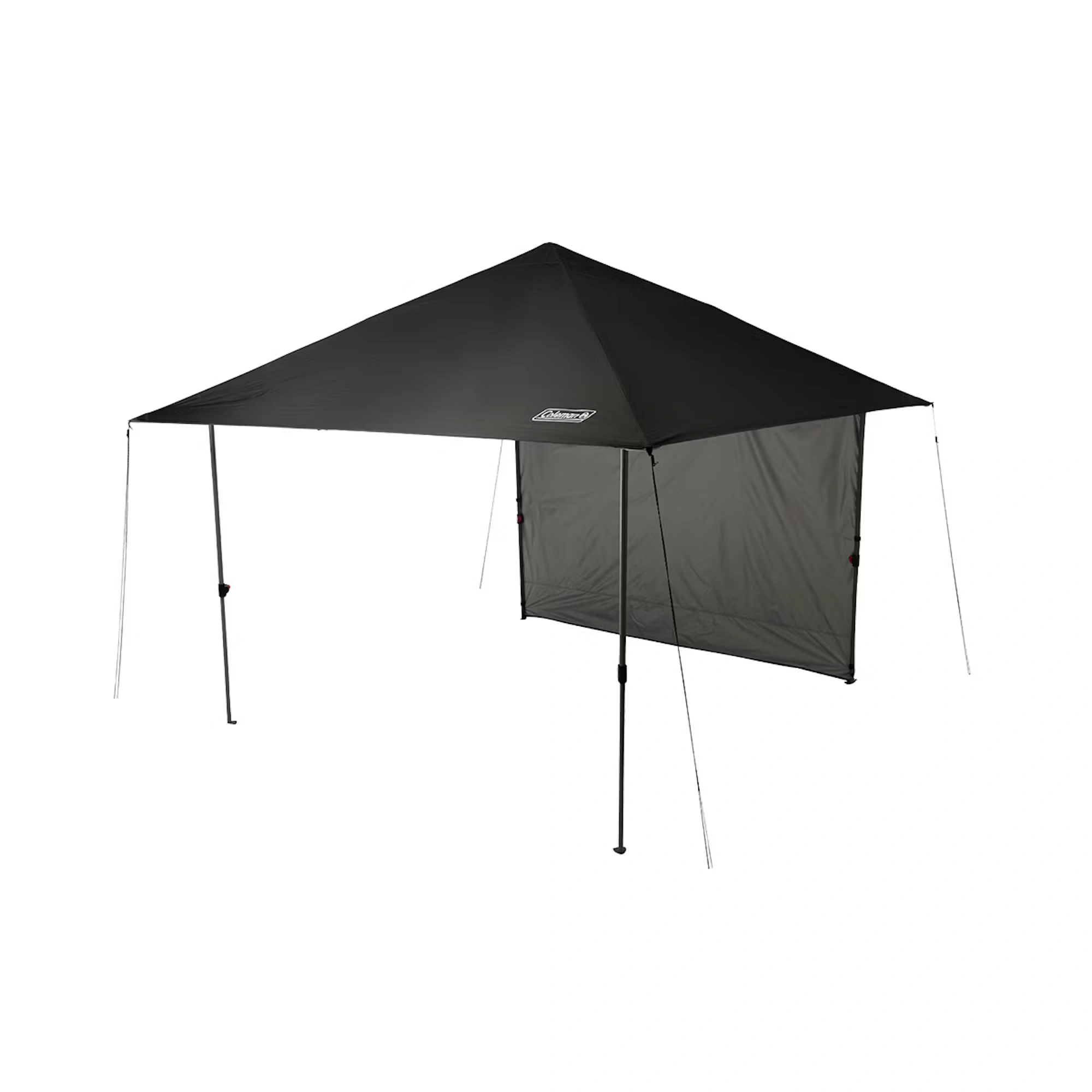 OASISâ„¢ Lite 10 x 10 Canopy with Sun Wall