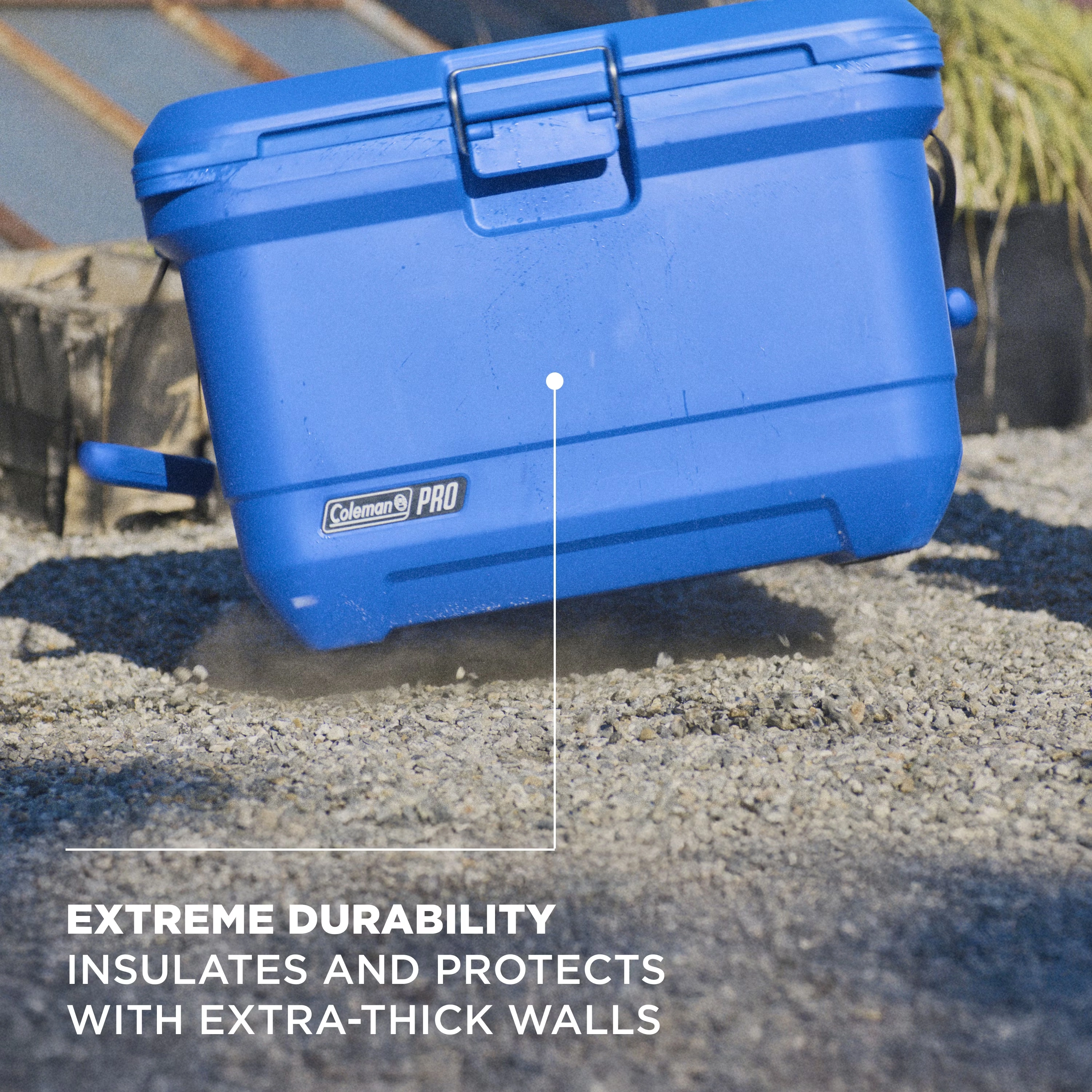 Coleman® Pro 45-Quart Hard Cooler Neptune