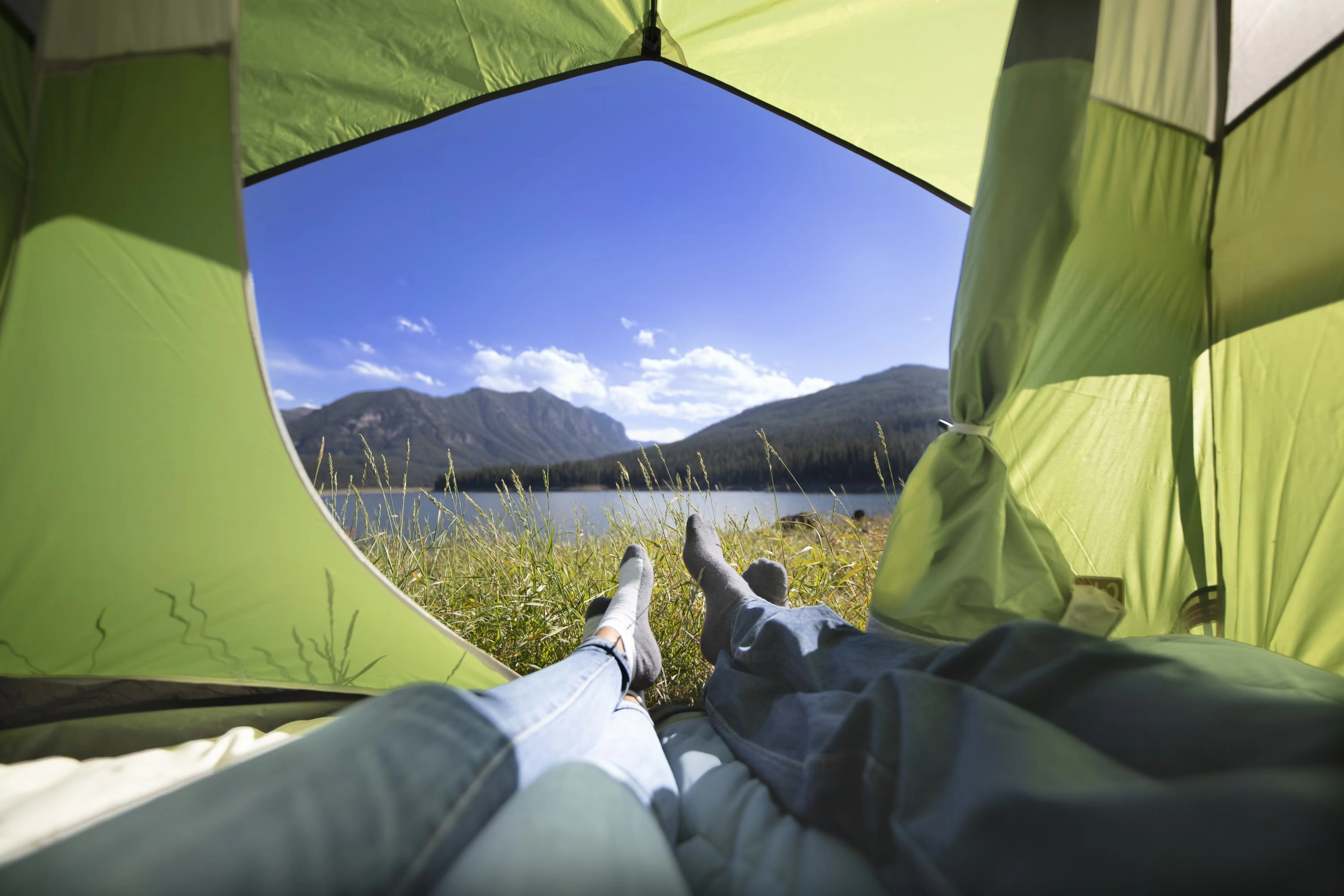 Sundome® 4-Person Camping Tent Palm Green 3 Sundome® 4-Person Camping Tent Palm Green